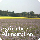 Soutenir l'agriculture locale et l'alimentation de qualité...