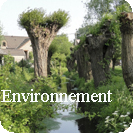 Préserver la qualité de notre environnement et la biodiversité...